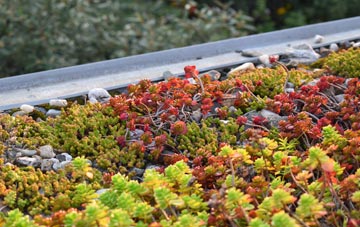 the cost of Torgulbin green roof installation