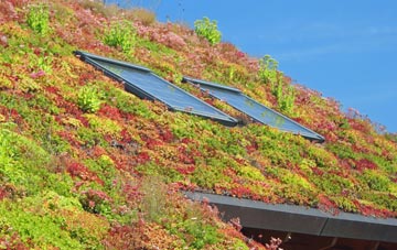 Torgulbin living roof systems