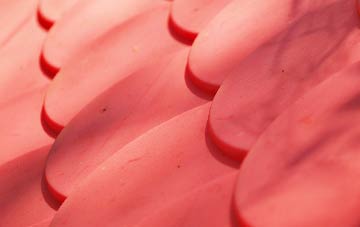 Torgulbin plastic roof costs