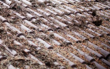 Torgulbin roof cleaning companies