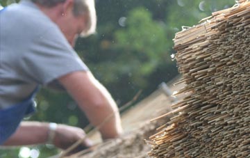 professional Torgulbin thatchers