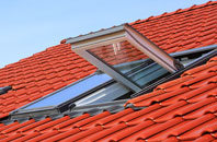 Torgulbin roof window