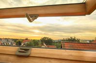 rated Torgulbin roof window companies